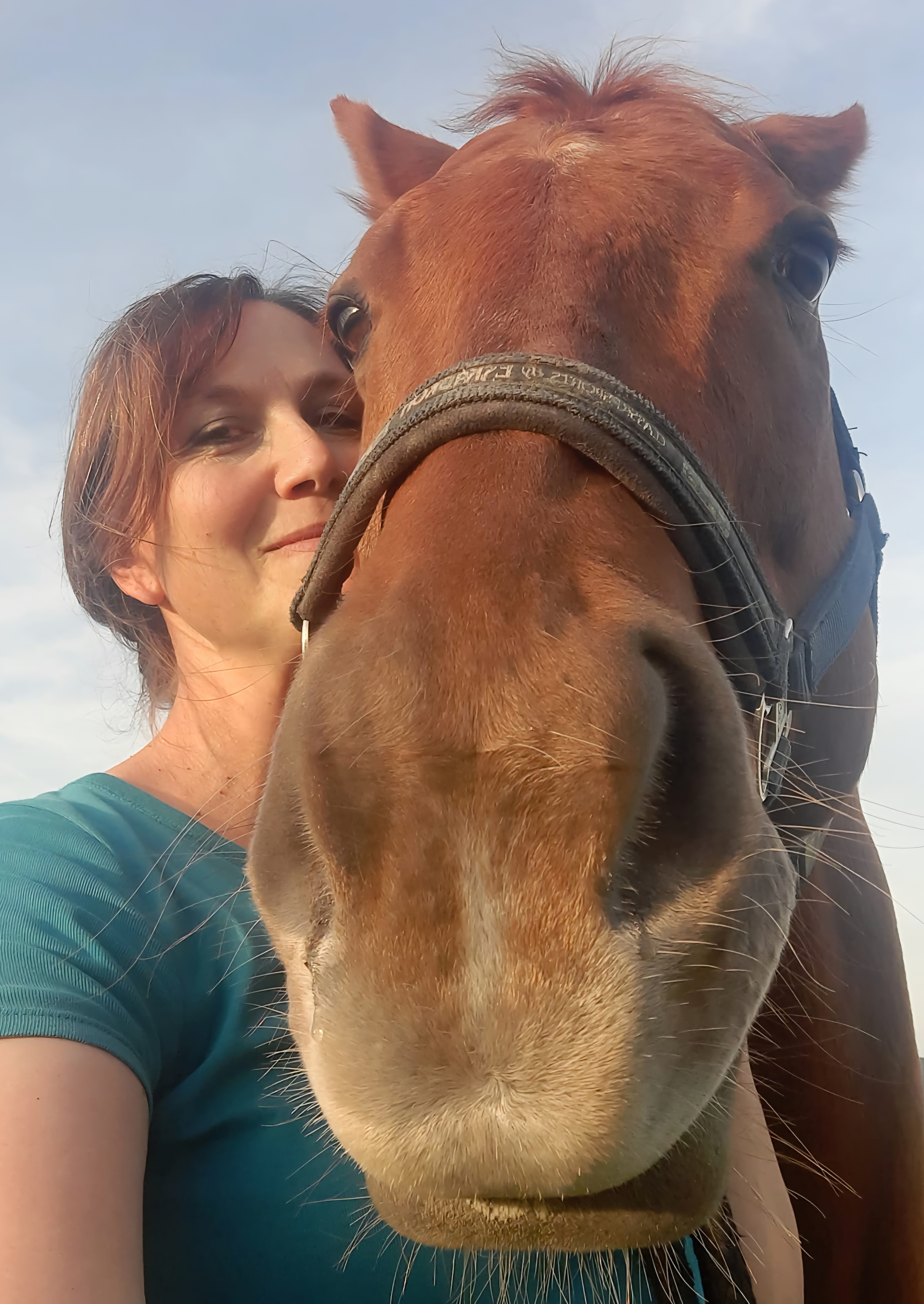 Frau und Pferd schauen aneinandergeschmiegt in die Kamera